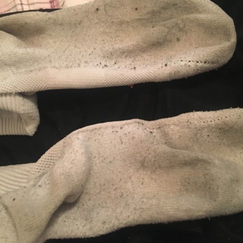 Dirty Socks!