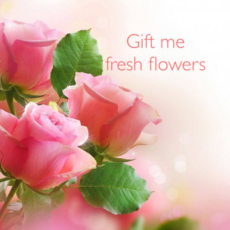 Gift Me Fresh Flowers