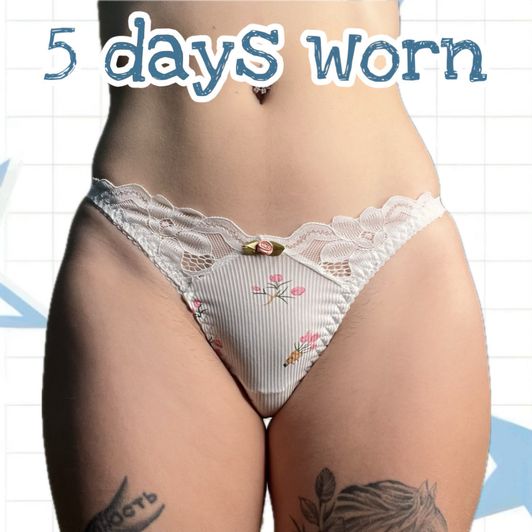 5 DAYS WORN PANTIES