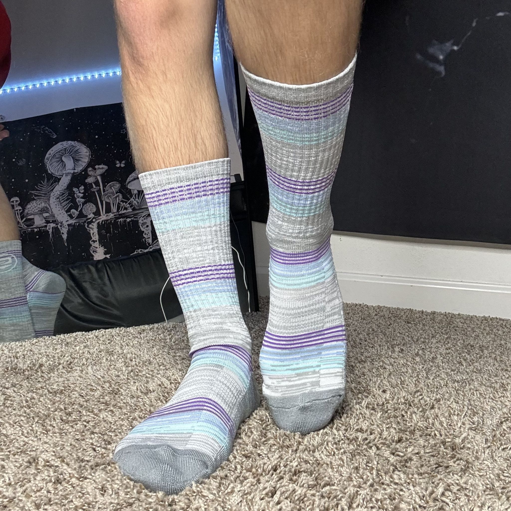 Speed Society Grey Socks