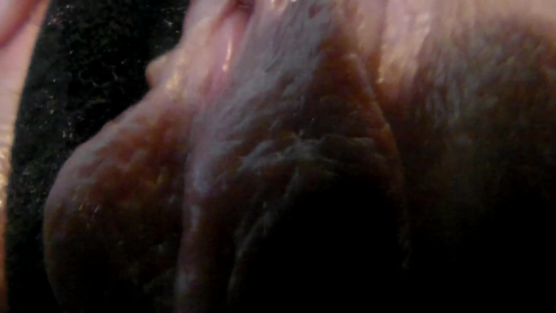 PUSSY and NIPPLES RUBBED to the CAM LENS