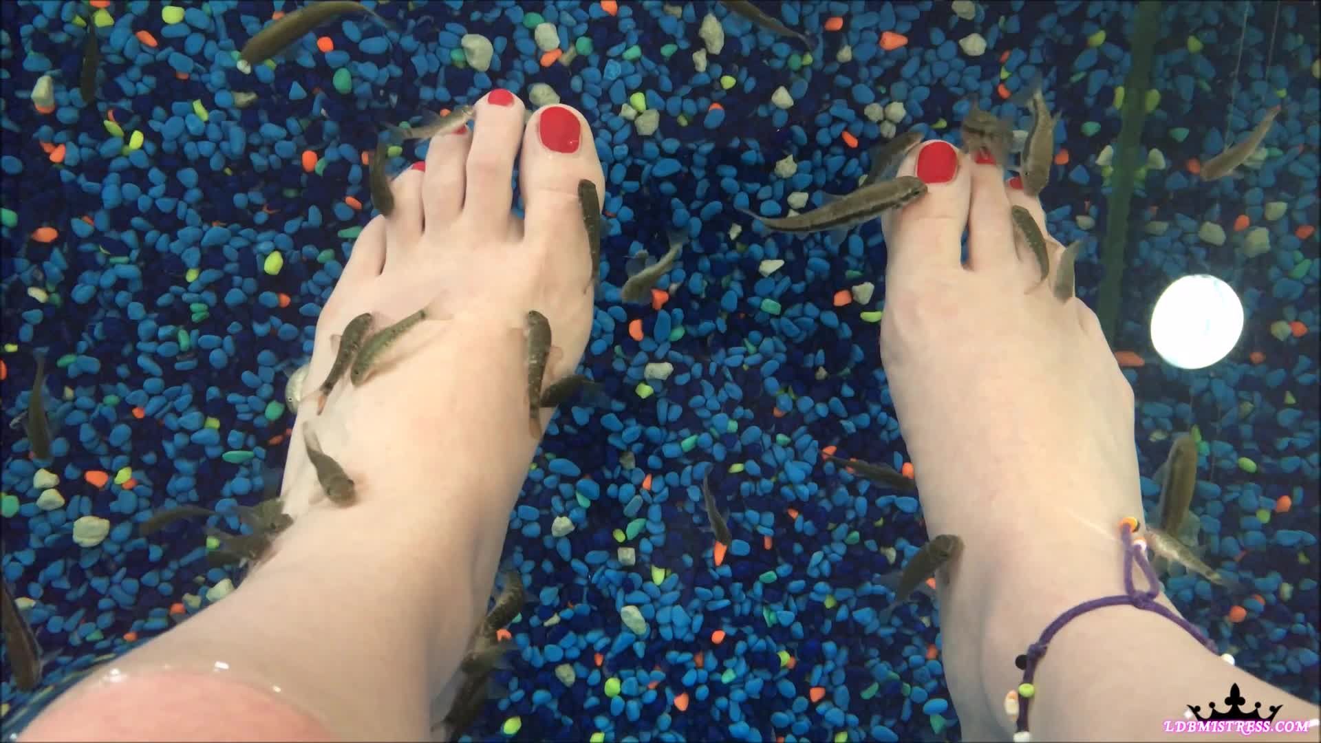 Fishspa Lover!