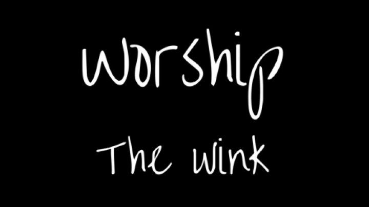 Worship The Wink Custom