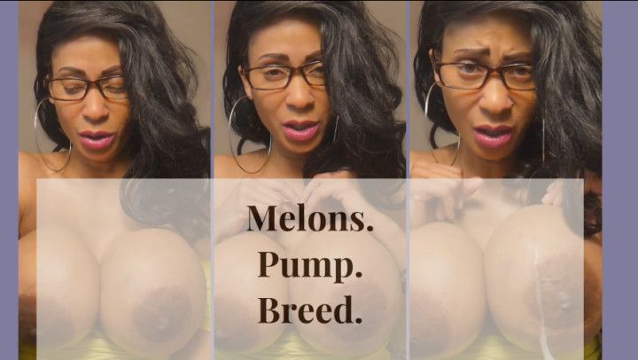 Melons. Pump. Breed