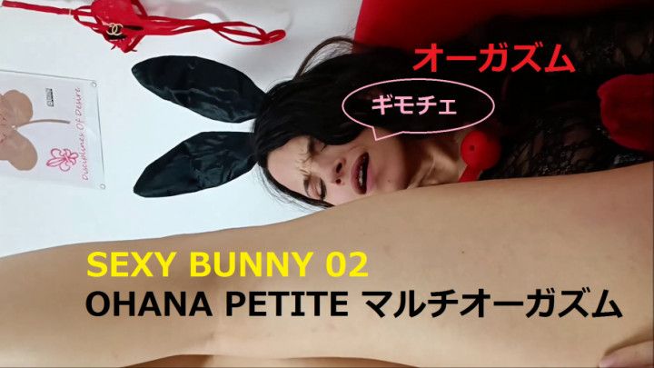 SEXY BUNNY 02 - OHANA PETITE