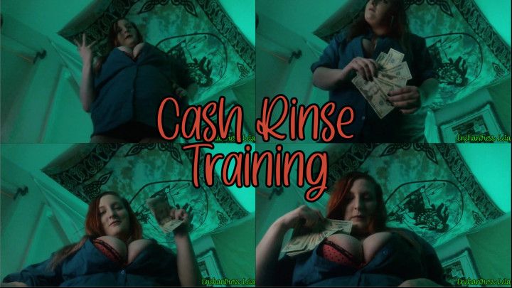 Enchantress Leia's Cash Rinse Training