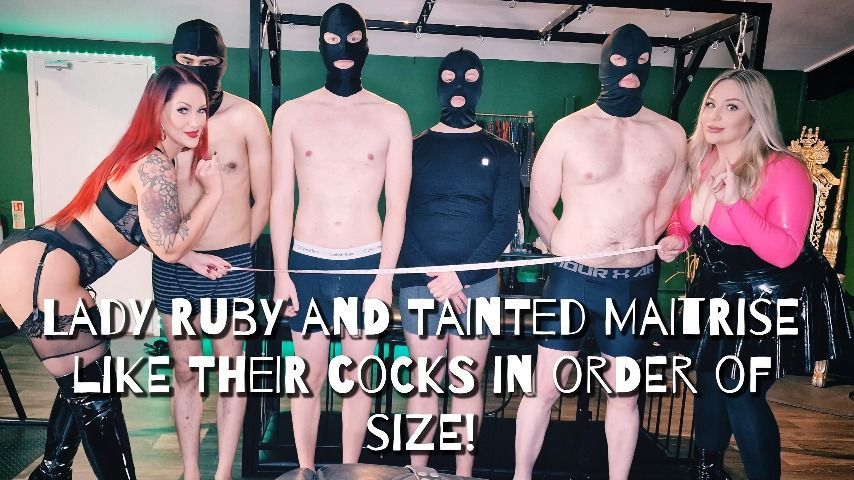 We Like Our Cocks In Order Of Size