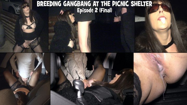 Breeding gangbang at the picnic shelter - Episode 2