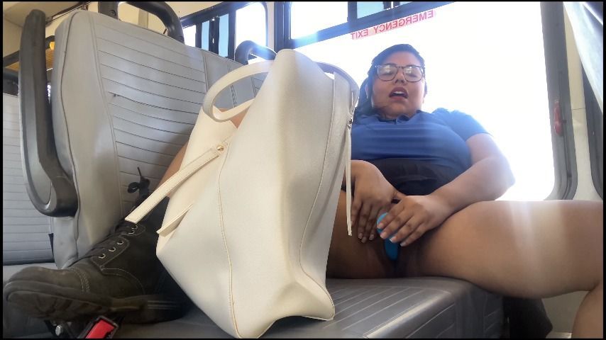 Public masturbation on bus