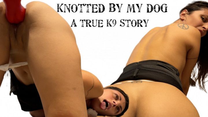 Knotted by my dog: a true k9 story