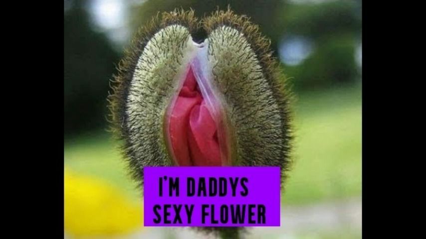 I'm Daddys sexy flower