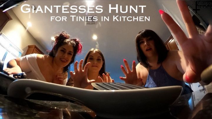 VR 360 Giantesses Hunt for Tinies in Kitchen