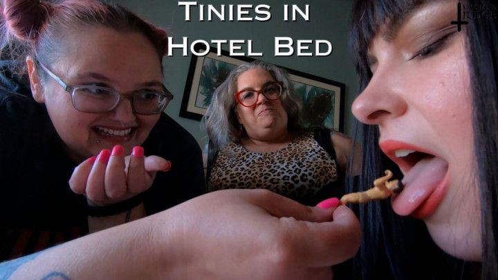 Tinies in Hotel Bed