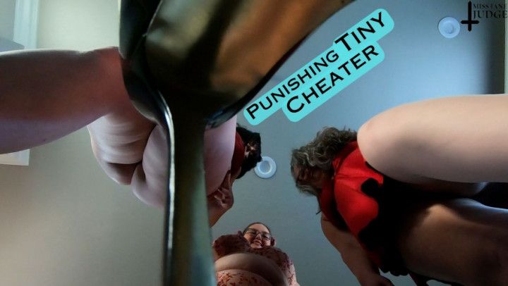 Punishing Tiny Cheater