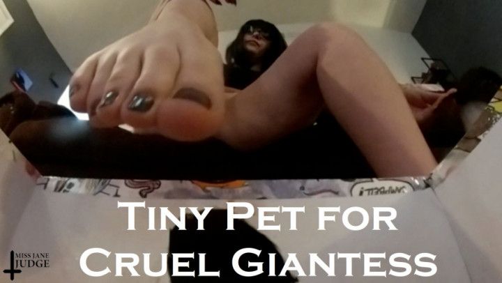 HD Tiny Pet for Cruel Giantess