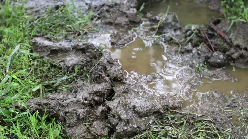 Muddy boots and muddy puddles