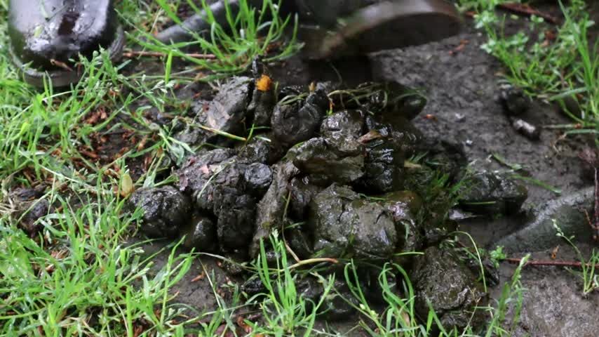 Irish rain and mud for you boot slave