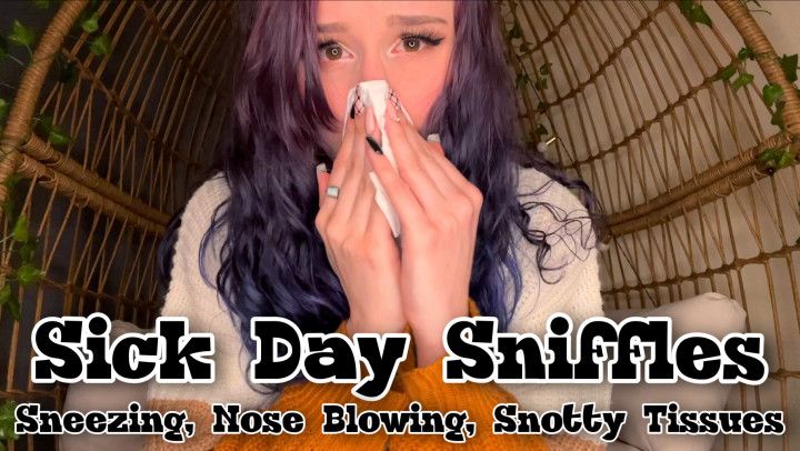 Sick Day Sniffles Sneezing Nose Blowing