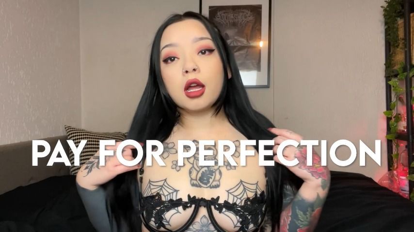 Pay For Perfection - Findom