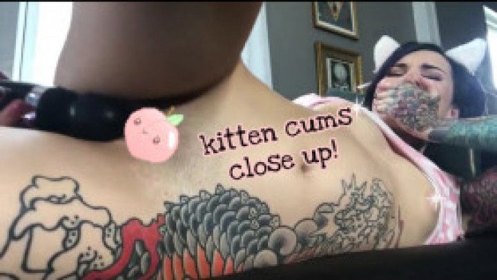 kitten cums close up x3