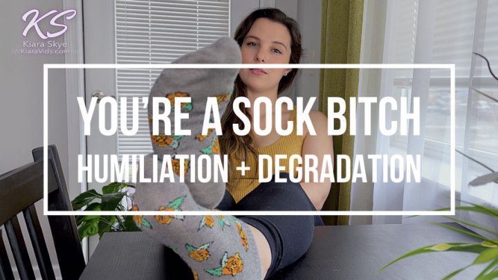 You Are A Sock Bitch Degradation