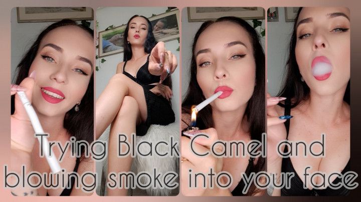 Trying Black Camel and blowing smoke into your face