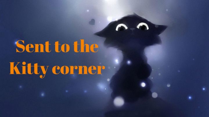 Sent to the kitty corner