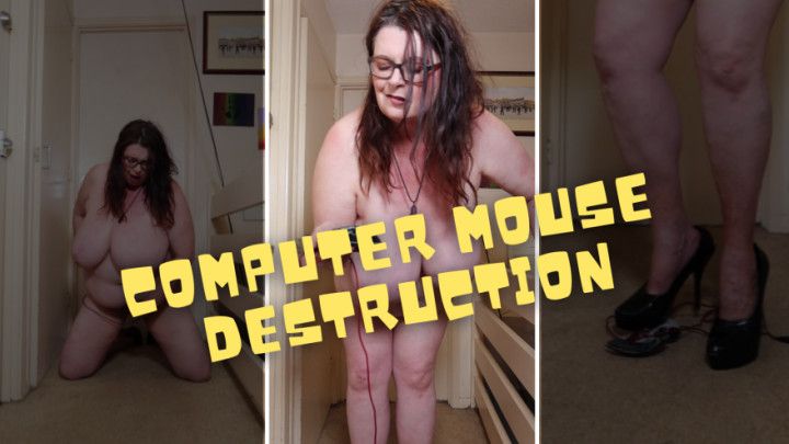 Naked Computer Mouse Destruction