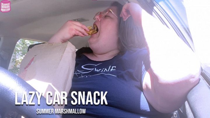 Lazy Car Snack
