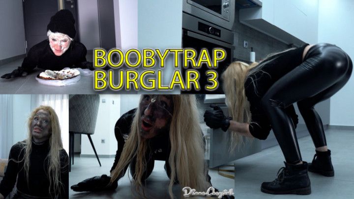 Cat burglar boobytrap cake crush 3