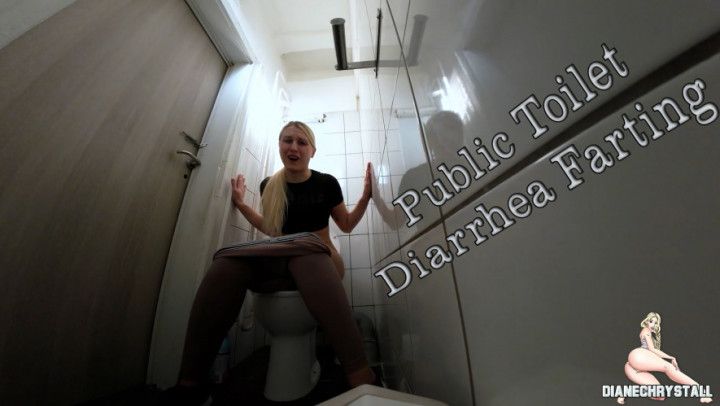 Public Toilet Fart exlposions