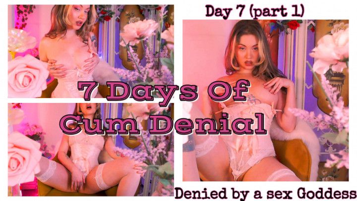 7 days of Cum Denial7/ Denial is Forever