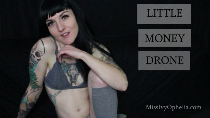 Little Money Drone