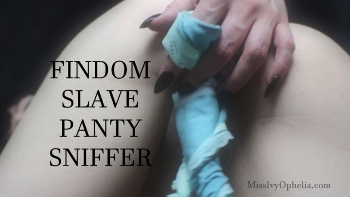 Findom Slave Panty Sniffer