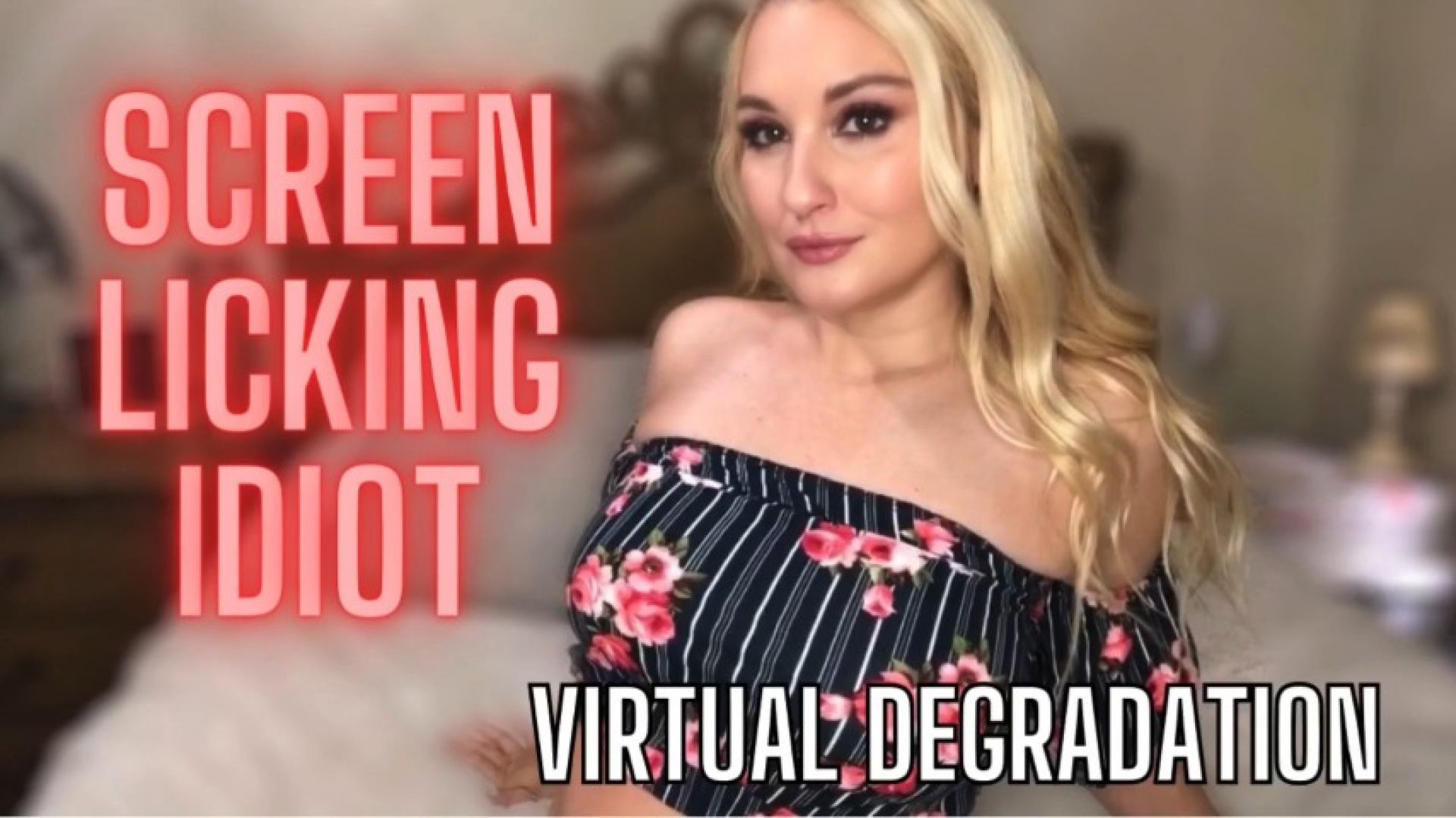 Screen Licking Idiot: Virtual Degradation