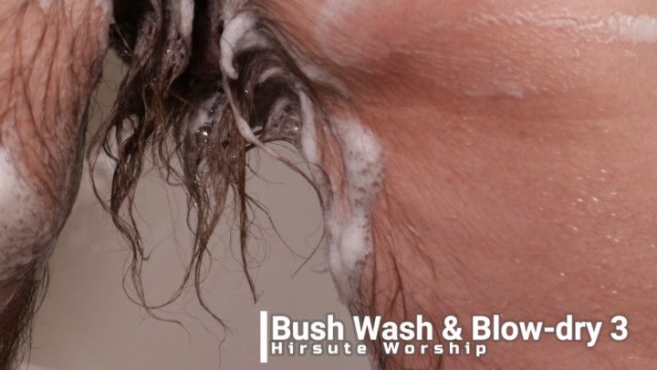 Bush Wash And Blow Dry 3