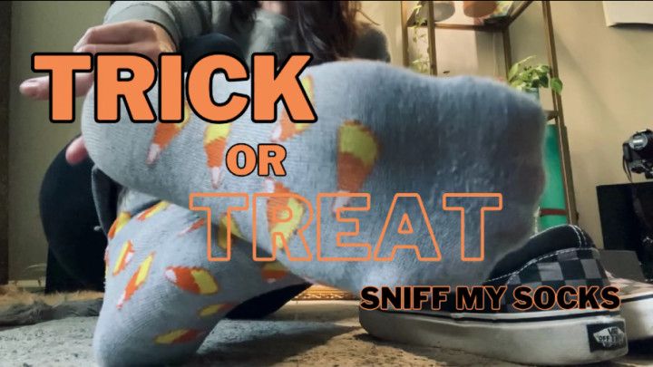 Trick or Treat Sniff My Socks