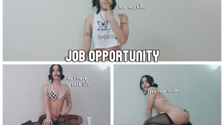 Job Opportunity