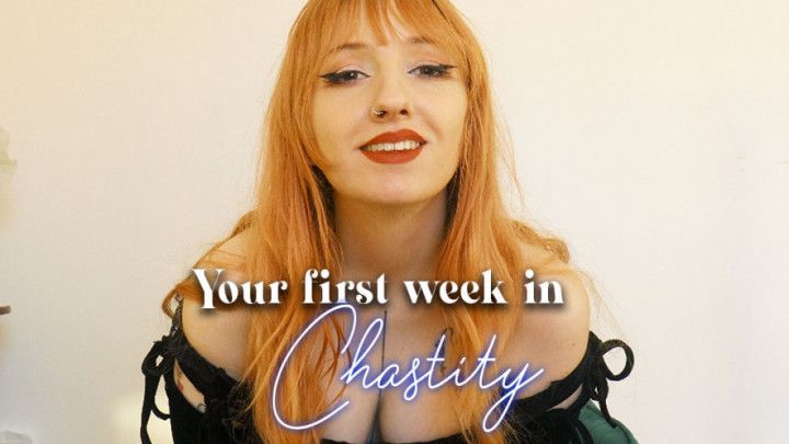 Your first week in Chastity