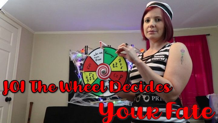 JOI - The Wheel Decides Your Fate Part 8