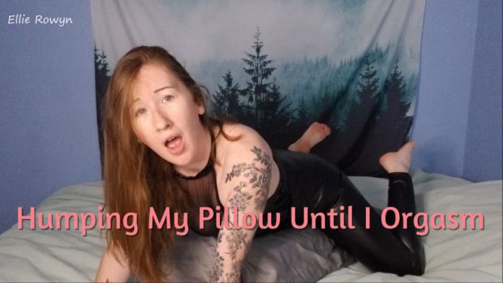 Latex Pillow Humping