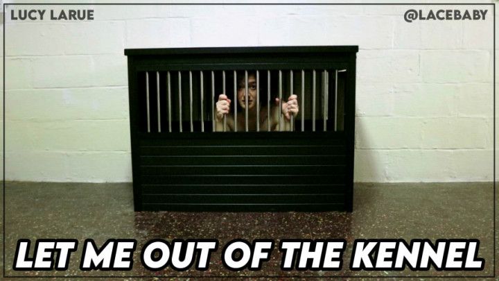 Let Me Out Of the Kennel