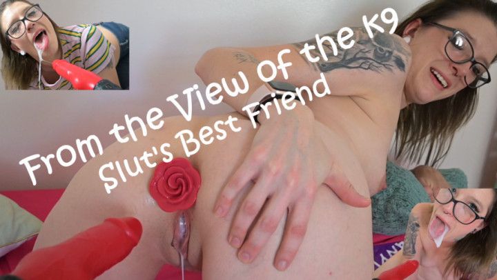 Slut's Best Friend: the View of the K9