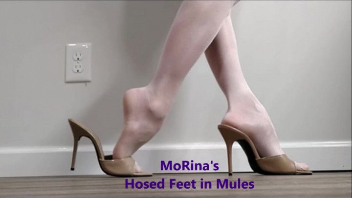 MoRina's Hosed Feet in Mules