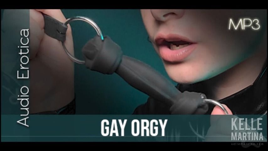 Gay Orgy - Audio MP3