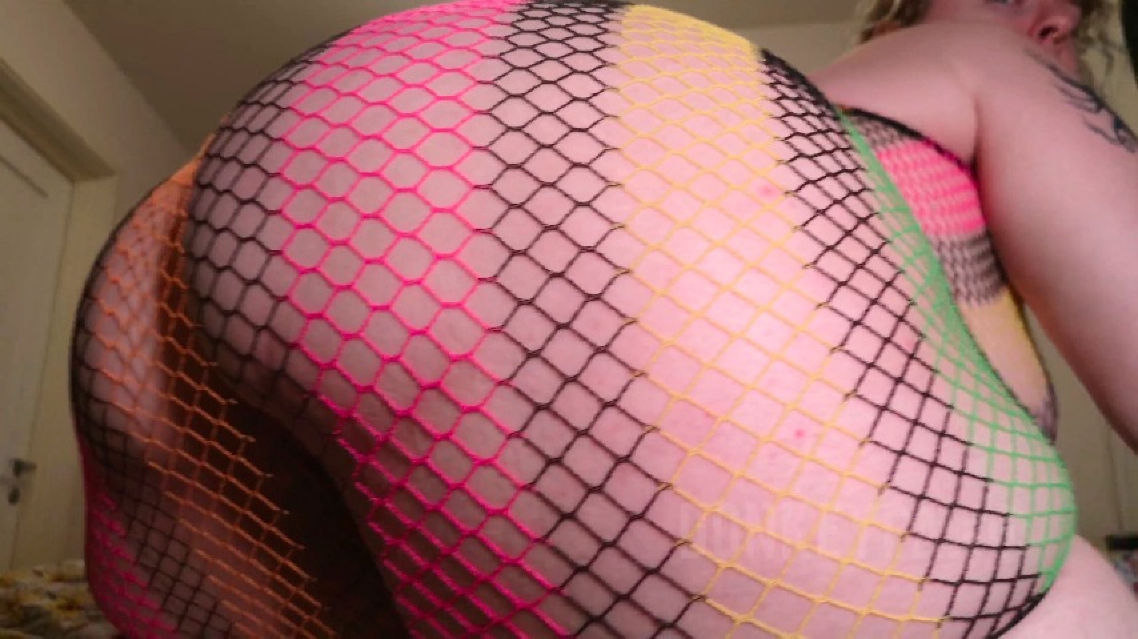 Rainbow Fishnets Ass Shaking