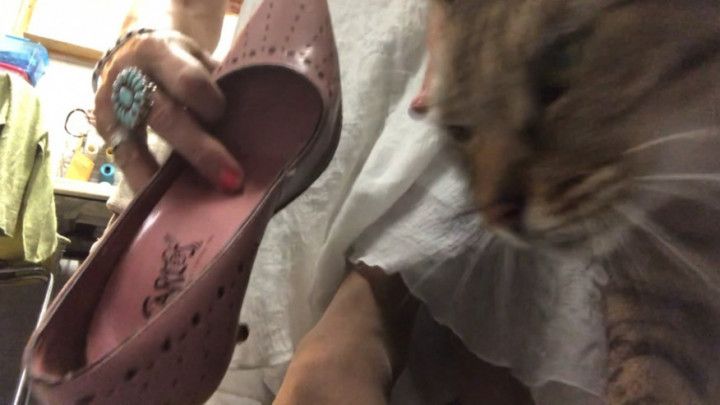 Pink Pumps, A Pussy &amp; A Groveling Dawg