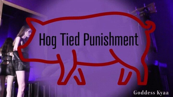 Hog Tied Punishment