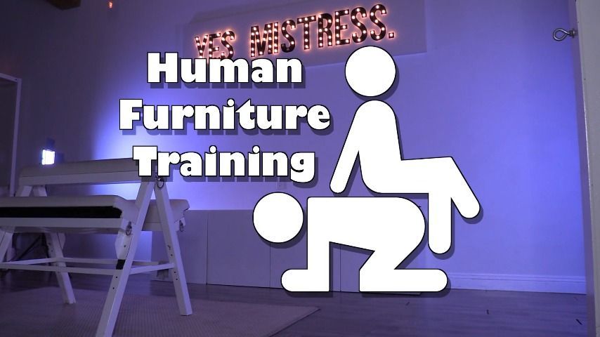 Human Furniture Training