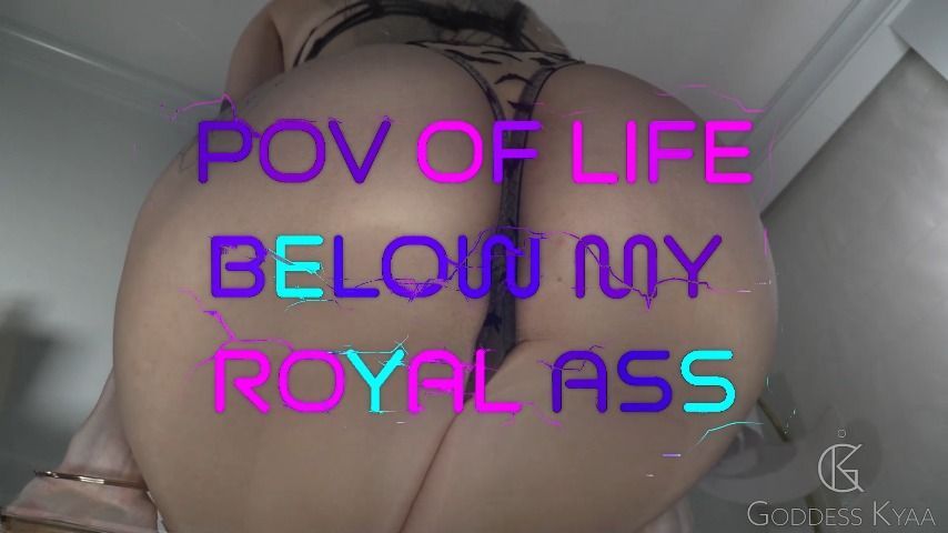 POV of Life Below My Royal Ass